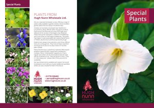 Special plants brochure